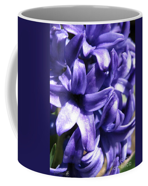 Hyacinth Coffee Mug featuring the photograph Hyacinth named Peter Stuyvesant #2 by J McCombie