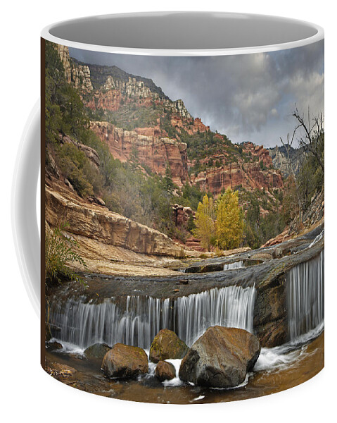 00438933 Coffee Mug featuring the photograph Oak Creek In Slide Rock State Park #2 by Tim Fitzharris