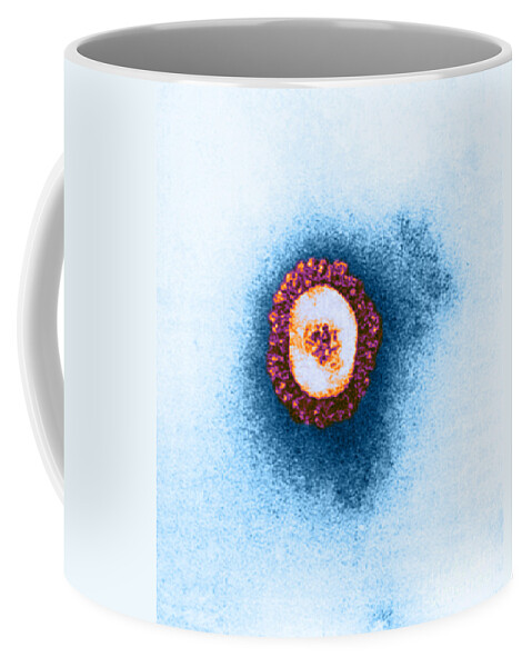Coronavirus Coffee Mug featuring the photograph Tem Of Coronavirus #2 by Science Source