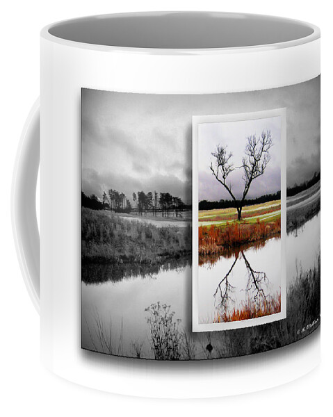 2d Coffee Mug featuring the photograph X Marks The Spot #2 by Brian Wallace