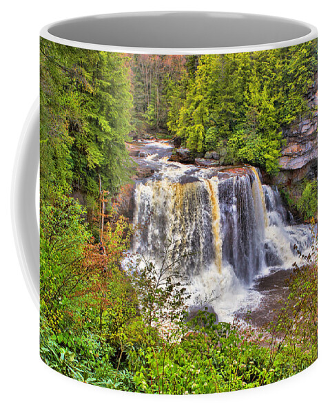 Blackwater Falls Coffee Mug featuring the photograph Blackwater Falls SP #1 by Mary Almond
