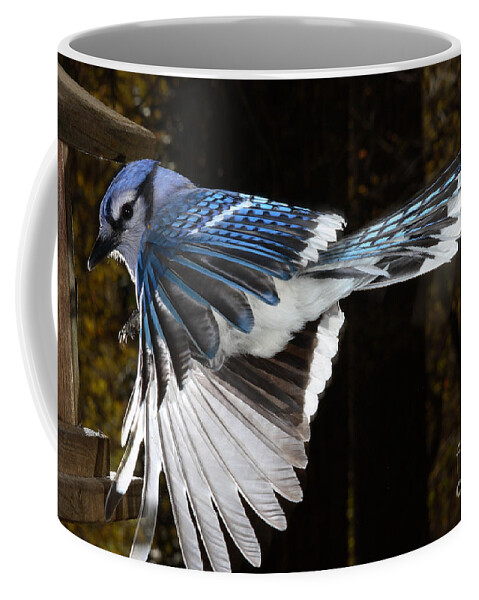 Blue Jay Coffee Mug featuring the photograph Blue Jay In Flight #3 by Ted Kinsman