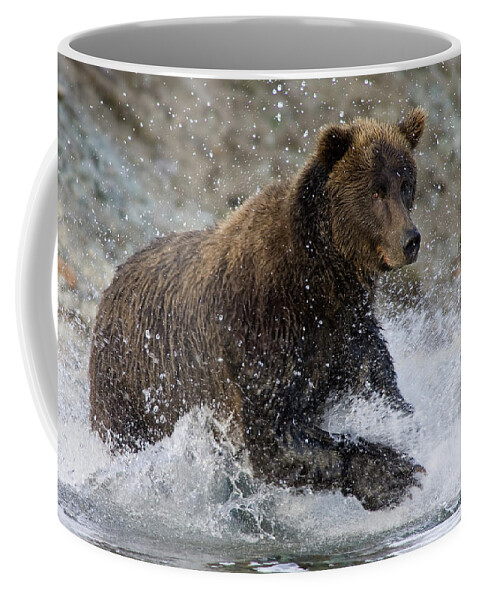 Mp Coffee Mug featuring the photograph Grizzly Bear Ursus Arctos Horribilis #3 by Matthias Breiter