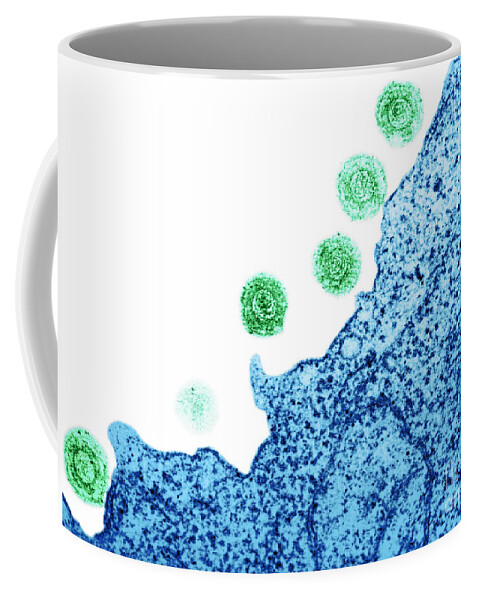 Dna Virus Coffee Mug featuring the photograph Human Herpes Virus-6 #3 by Science Source