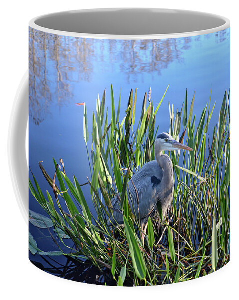 Great Blue Heron Coffee Mug featuring the photograph 30- Great Blue Heron by Joseph Keane