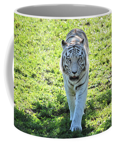 White Bengal Tiger Coffee Mug featuring the photograph 34- White Bengal Tiger by Joseph Keane