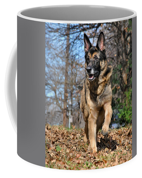 Animal Coffee Mug featuring the photograph German Shepherd by Jai Johnson
