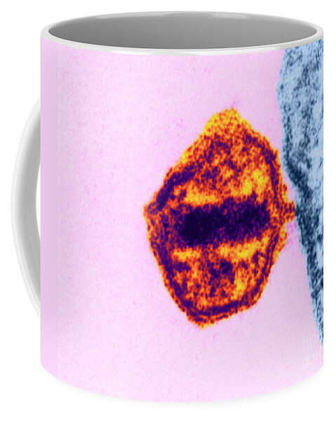 Science Coffee Mug featuring the photograph Aids Virus #5 by Science Source