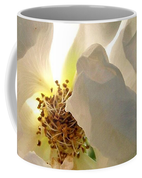 Rose Coffee Mug featuring the photograph Rose #2 by Sylvie Leandre