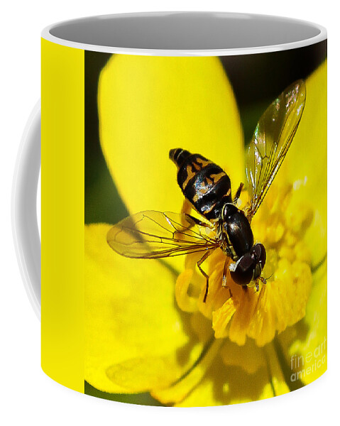 A Closer Look Coffee Mug featuring the photograph A Closer Look by Mitch Shindelbower