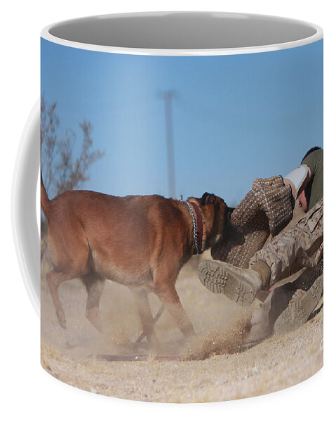 Marine Corps Air Ground Combat Center Coffee Mug featuring the photograph A Dog Handler Works On Take-down by Stocktrek Images