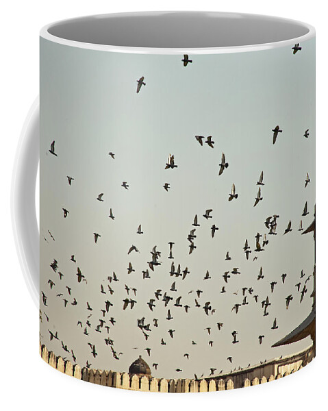 Pigeons Coffee Mug featuring the photograph A flock of pigeons crowding one of the structures on top of the Red Fort by Ashish Agarwal