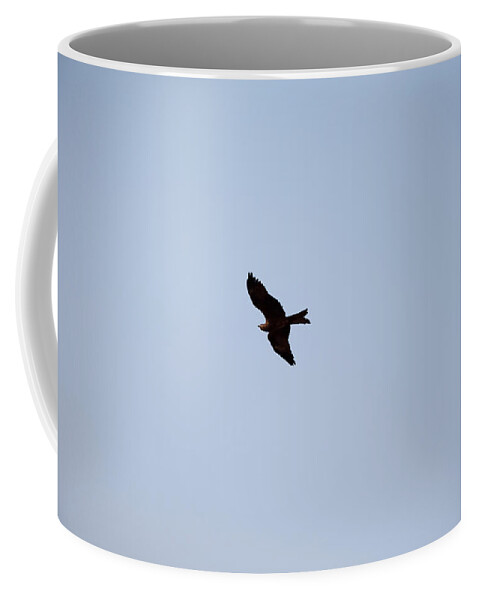 Kite Coffee Mug featuring the photograph A kite flying high in the sky by Ashish Agarwal