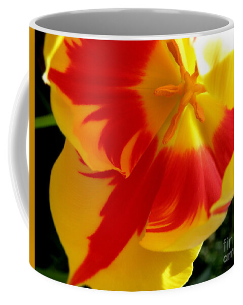 Tulip Coffee Mug featuring the photograph A Little Ray of Sunshine by Lainie Wrightson