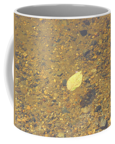 Leaf Coffee Mug featuring the photograph A Lonely Floater by Kim Galluzzo Wozniak