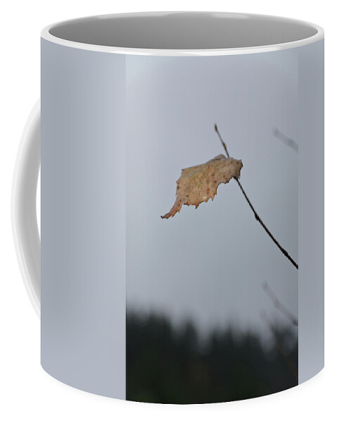 Autumn Coffee Mug featuring the photograph A lonely leaf by Michael Goyberg
