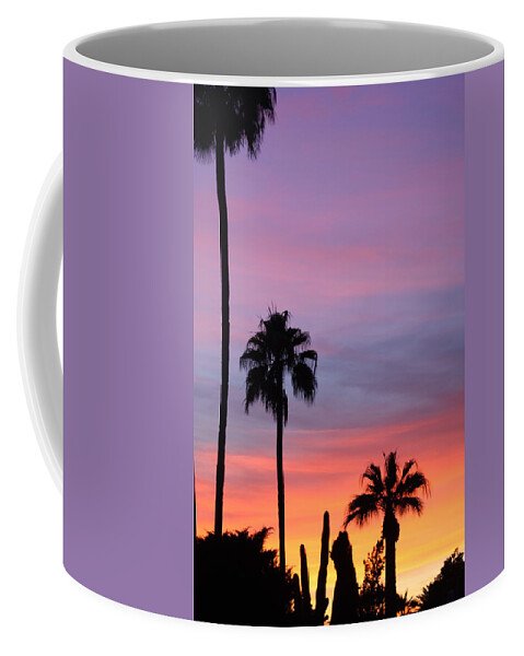 Sunset Coffee Mug featuring the photograph A Mother Natures Painting by Kim Galluzzo
