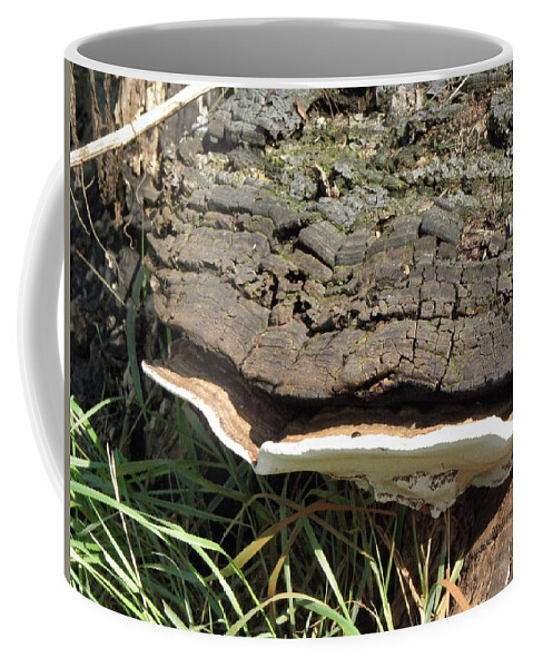 Mushroom Coffee Mug featuring the photograph A Perfect Blend by Kim Galluzzo