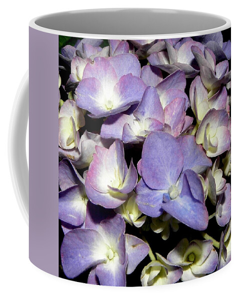 Hydrangea Coffee Mug featuring the photograph A Purple Blue Explosion by Kim Galluzzo