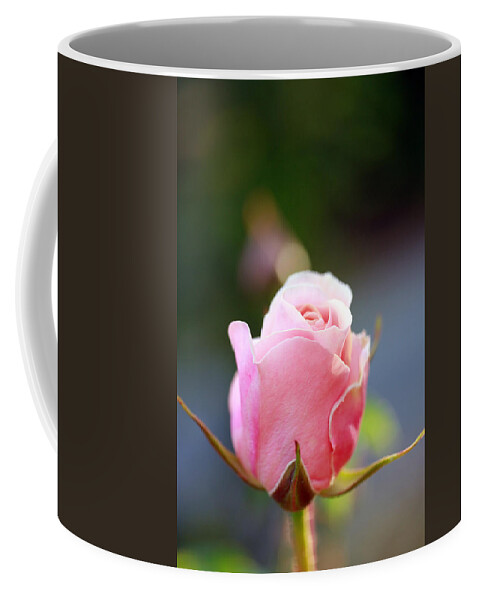 Rose Coffee Mug featuring the photograph A Simple Gesture by Marie Jamieson