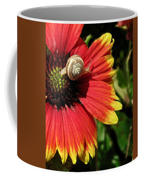 Nature Coffee Mug featuring the photograph A Snail's Pace by Peggy Urban