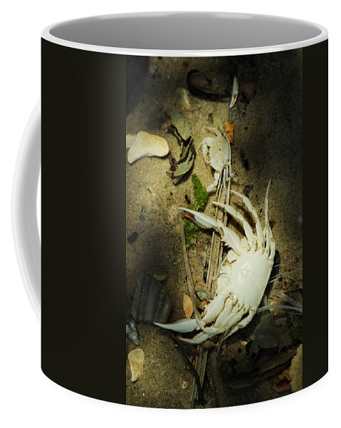 Blue Crab Coffee Mug featuring the photograph A Time to Shed by Rebecca Sherman
