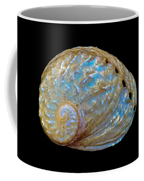 Abalone Shell Coffee Mug featuring the photograph Abalone Shell by Mitch Shindelbower