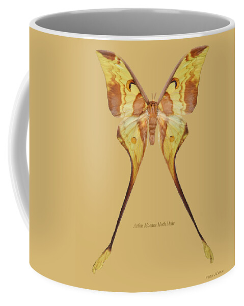 Actias Maenas Moth Male Coffee Mug featuring the digital art Actias Maenas Moth Male by Walter Colvin