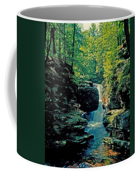 Pennsylvania Coffee Mug featuring the photograph Adams Falls by Rich Walter