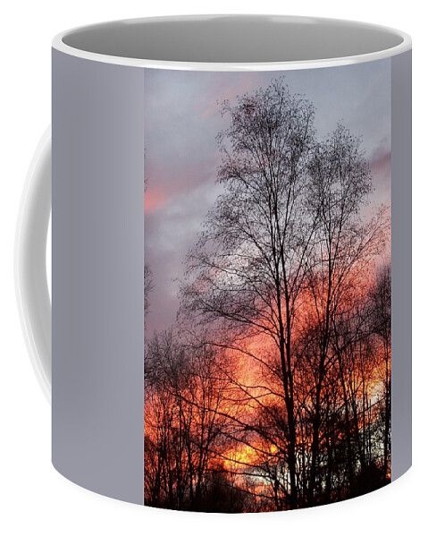 Sunset Coffee Mug featuring the photograph Adding Life To What Has Passed by Kim Galluzzo