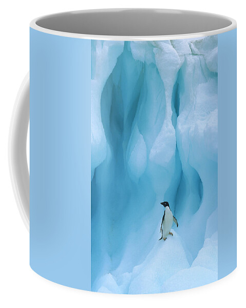 00260284 Coffee Mug featuring the photograph Adelie Penguin on Iceberg by Colin Monteath
