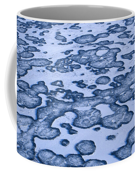 Mp Coffee Mug featuring the photograph Aerial View Of Frozen Tundra by Konrad Wothe