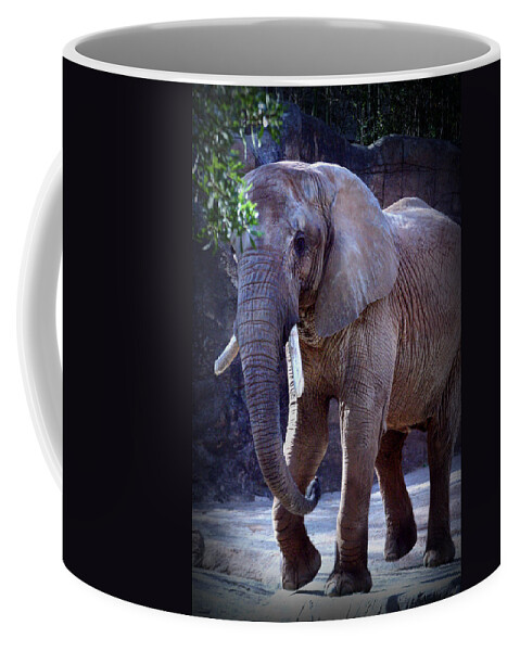  African Coffee Mug featuring the photograph African Elephant by Kelly Hazel