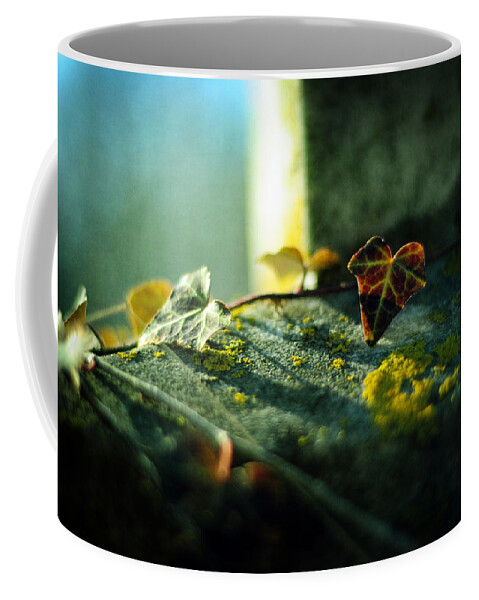 Gravestone Coffee Mug featuring the photograph After Life by Rebecca Sherman
