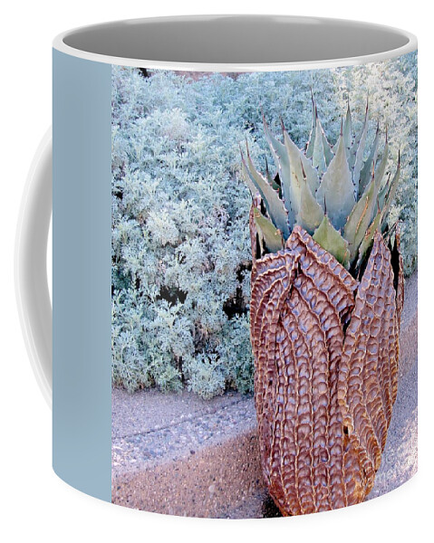 Agave Plant Coffee Mug featuring the photograph Agave Blues by Marilyn Smith