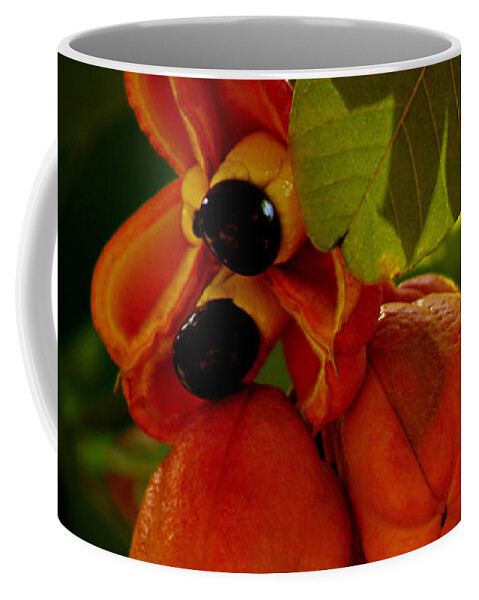 Fine Art Photography Coffee Mug featuring the photograph Akee by Patricia Griffin Brett