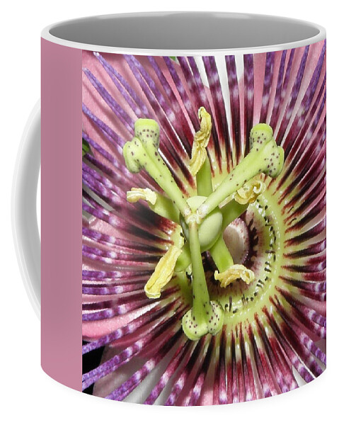Passion Flower Coffee Mug featuring the photograph Alienated by Kim Galluzzo Wozniak