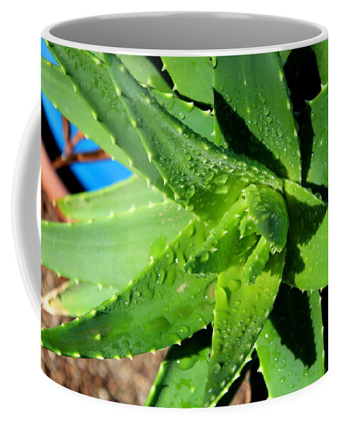  Coffee Mug featuring the photograph Aloe by M Diane Bonaparte