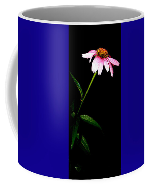 Purple Coffee Mug featuring the photograph Alone At Night by Kim Galluzzo Wozniak