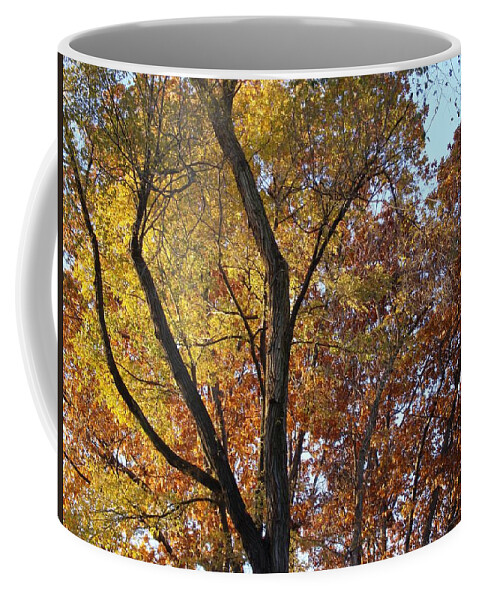 Bogue Street Coffee Mug featuring the photograph Along the River by Joseph Yarbrough