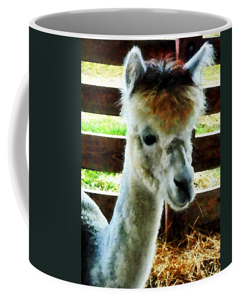 Alpaca Coffee Mug featuring the photograph Alpaca Closeup by Susan Savad