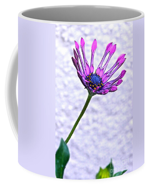 Osteospermum Coffee Mug featuring the photograph Amethyst Sapphire and Gold by Byron Varvarigos