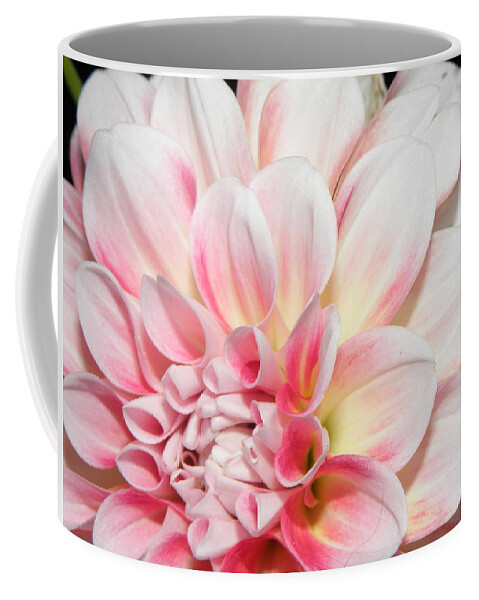 Dahlia Coffee Mug featuring the photograph An Angled Beauty by Kim Galluzzo Wozniak