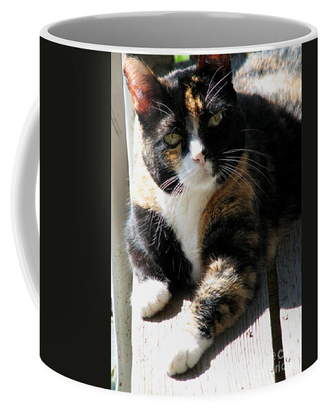 Cat Coffee Mug featuring the photograph Annie Banannie by Rory Siegel