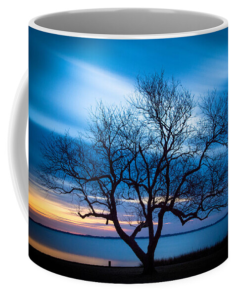 Currituck Coffee Mug featuring the photograph Another Favorite Tree by Joye Ardyn Durham