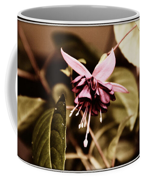 Fuchsia Coffee Mug featuring the photograph Antiqued Fuchsia by Jeanette C Landstrom