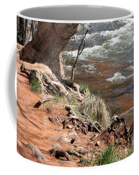 Arizona Coffee Mug featuring the photograph Arizona Red Water by Debbie Hart