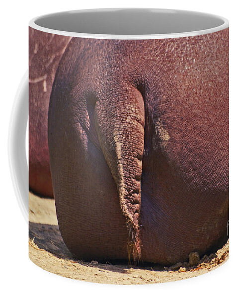 Rhinoceros Coffee Mug featuring the photograph Arriere-Train by Aimelle Ml