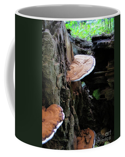 Mushroom Coffee Mug featuring the photograph Artist Conk Mushroom by September Stone