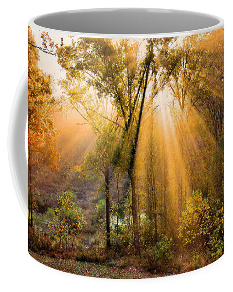 Golden Rays Coffee Mug featuring the photograph Autumn Begins by Kristin Elmquist